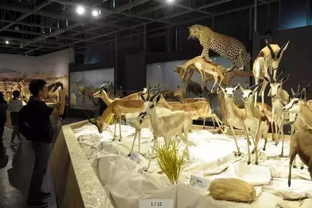 武汉将添4个新地标,武汉未来100个地标