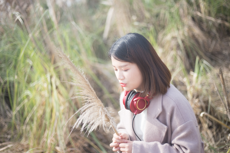 铁三角ath-m50x测评,铁三角m50x耳机深度评测