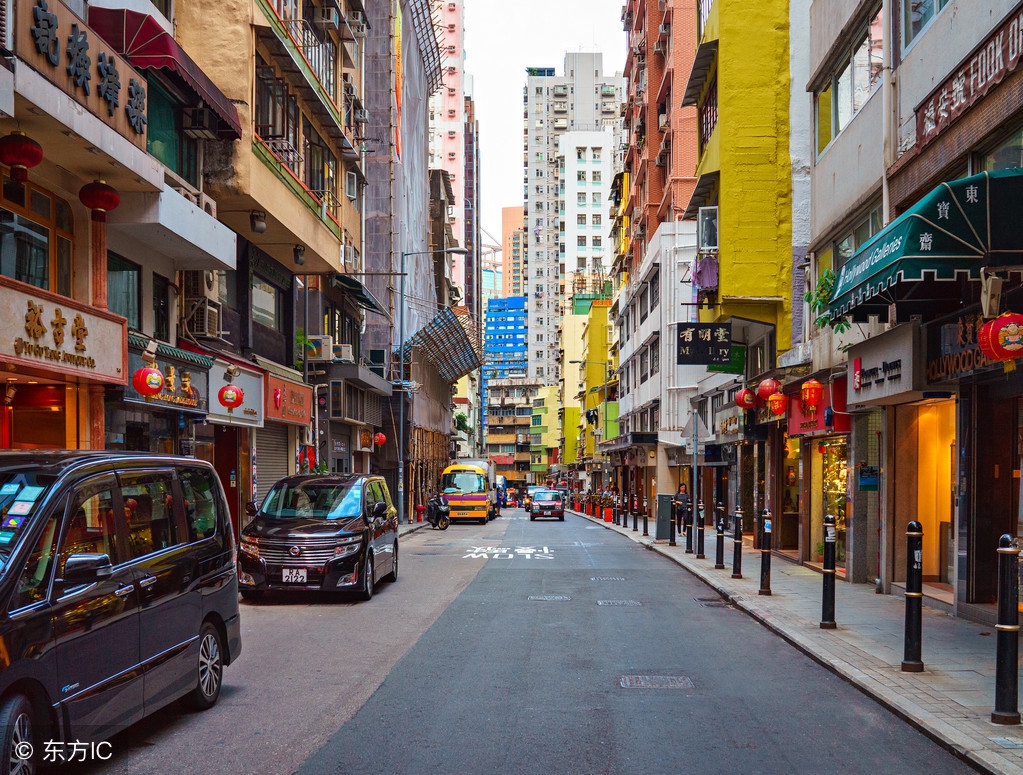 波斯地毯旅游记!网友:闹啥嘞.去南阳？