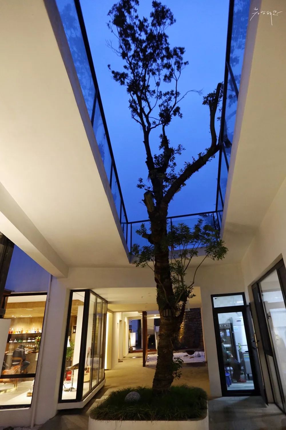 住进莫干山下的“鱼缸”，