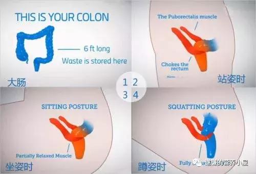 怎么样缓解便秘的小方法,按揉腹部缓解便秘的正确方法