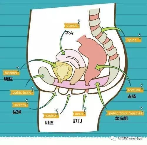 缓解便秘的最快方法动作,缓解便秘的小妙招做法