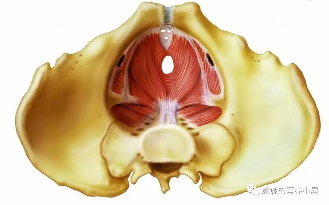 怎么样缓解便秘的小方法,按揉腹部缓解便秘的正确方法