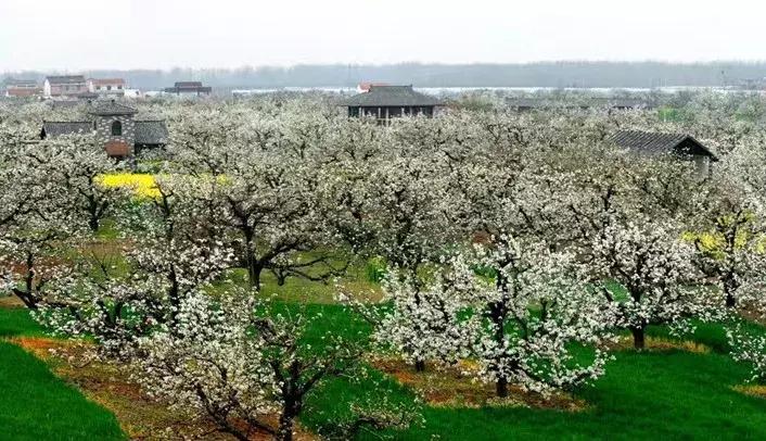 滨海，向全世界发出邀请！