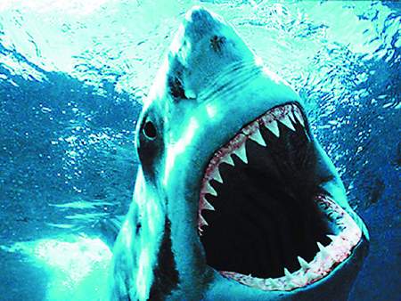 恐怖怪兽电影解说大全,科幻恐怖怪兽电影大全