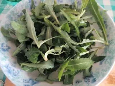 余庆野菜,余庆好吃的推荐