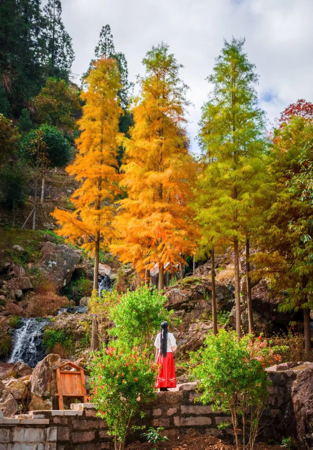 柘荣黄柏景点,柘荣黄柏村旅游攻略