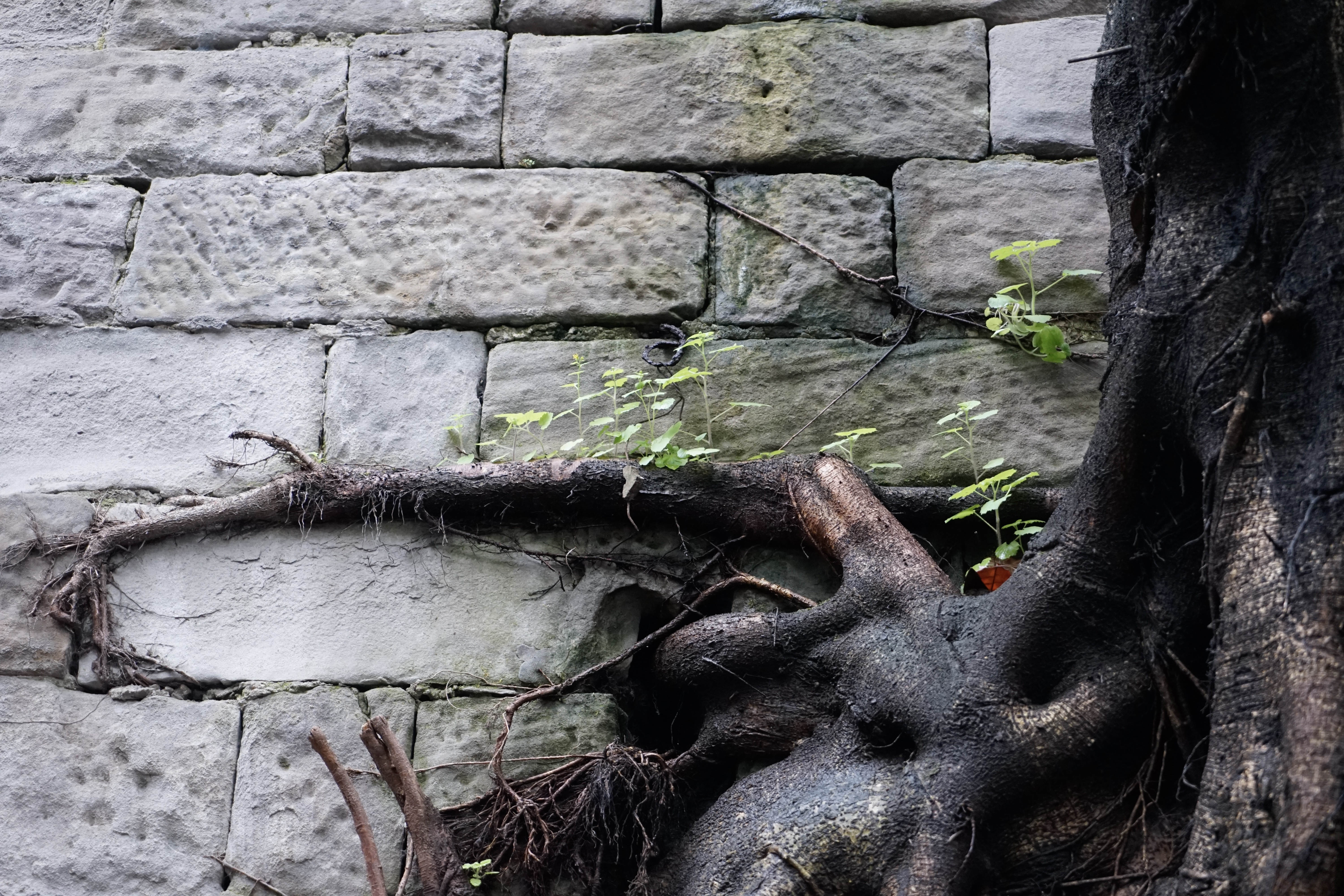 重庆3d看景区,重庆看3d电影最好的地方