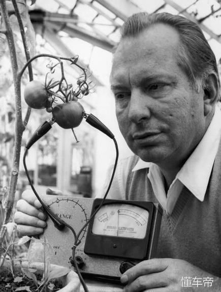 以前人们用的东西和现在用的东西,在生活中一些稀奇又古怪的小玩意