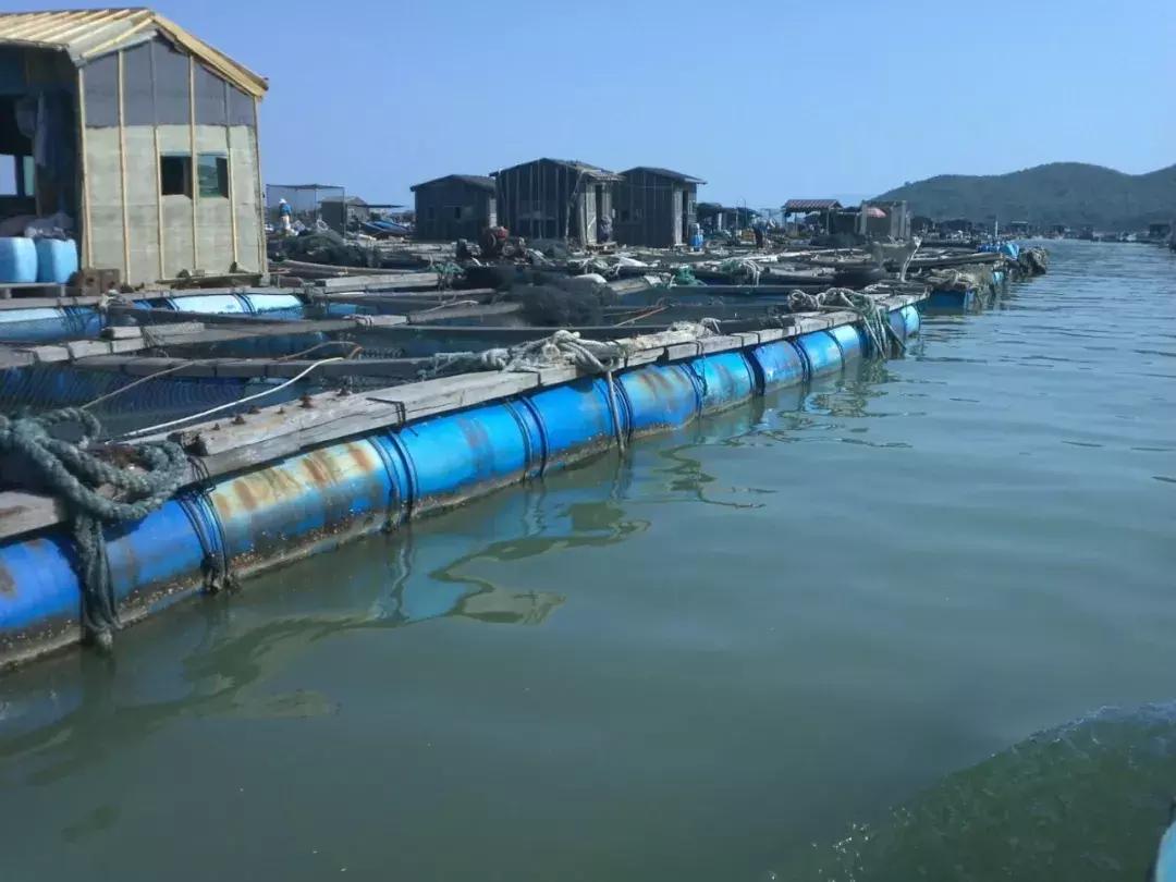 广东将建滨海景观公路路线图,广东未来第一长海滨公路