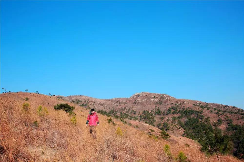 武汉龙王尖徒步攻略,武汉周边登山一日游推荐