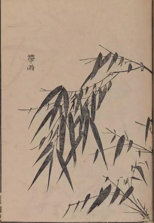 芥子园竹谱高清临摹,芥子园画谱原文