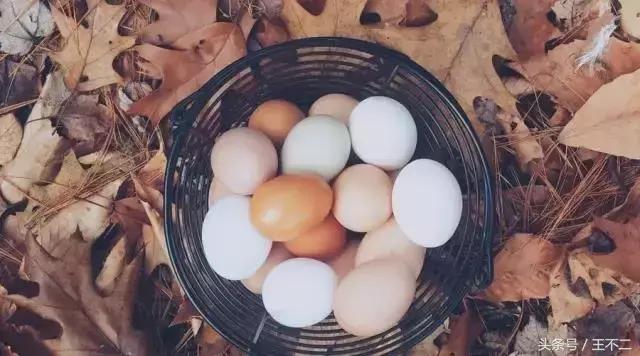 从不吃肉的男人什么样,从来不吃肉的男人