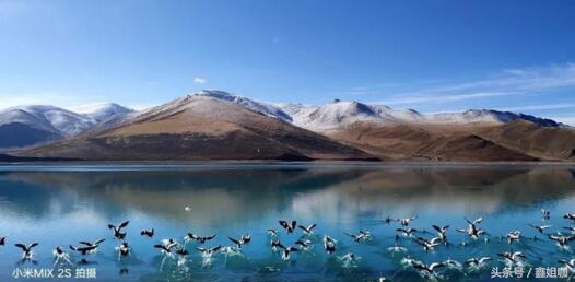 小米mix2s和小米mix2,小米mix2s上市时间