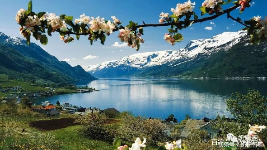 丹麦有机奶源是哪里,丹麦奶源好还是新西兰好