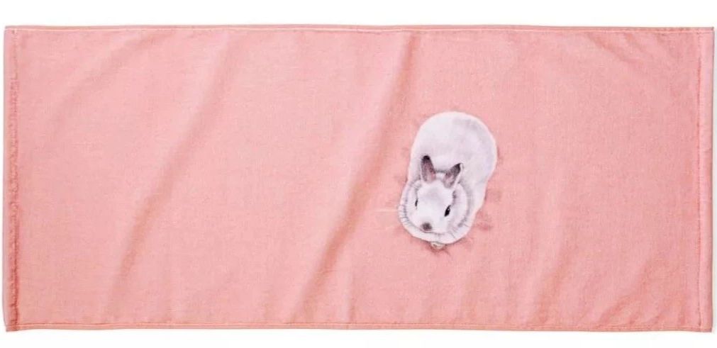 放开我的钱包啊！令猫奴闻风丧胆的种草大会！