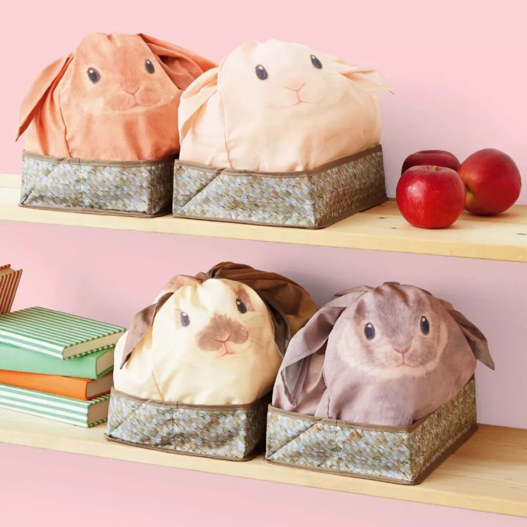 放开我的钱包啊！令猫奴闻风丧胆的种草大会！