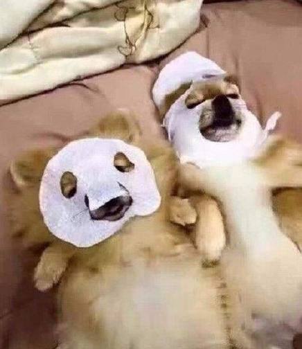 员工福音！日企养颜假可带薪休假20天！日本美容黑科技人设崩了？