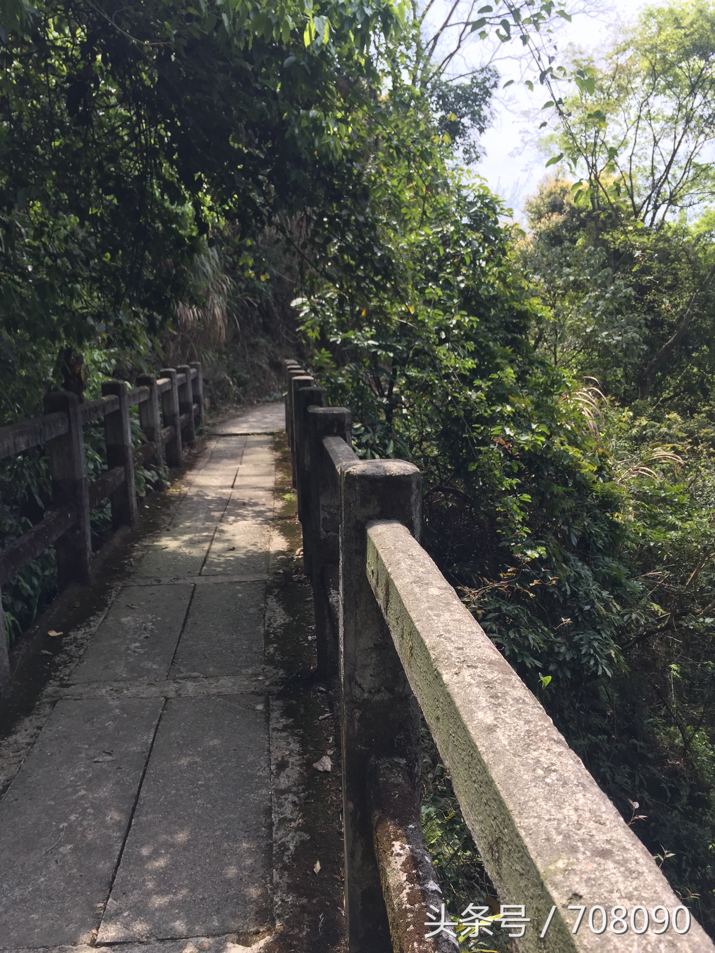 福州闽侯三叠井森林公园攻略,三叠井森林公园攻略