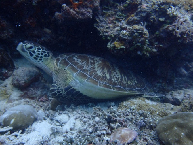 太平洋上的美丽岛屿,太平洋绝美海岛