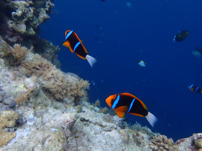 和闺蜜一起去水上世界,闺蜜一起游东湖公园