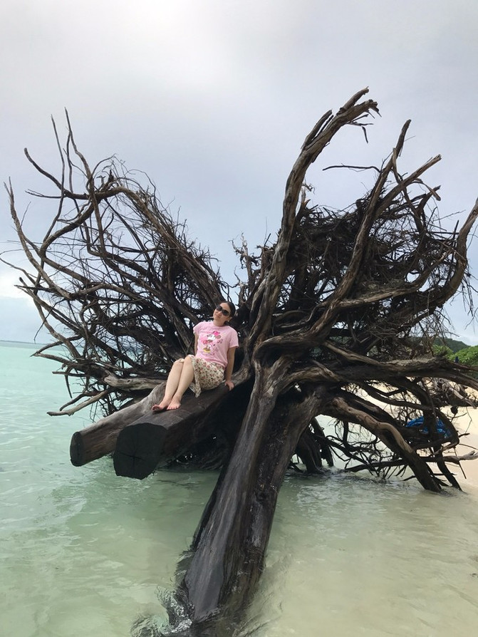 太平洋有名的海岛,太平洋岛国帕劳地理位置