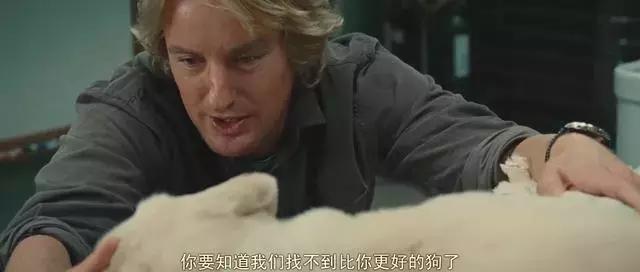 确认过的眼神是我想宠的人,确认过眼神是我想撩的灵魂