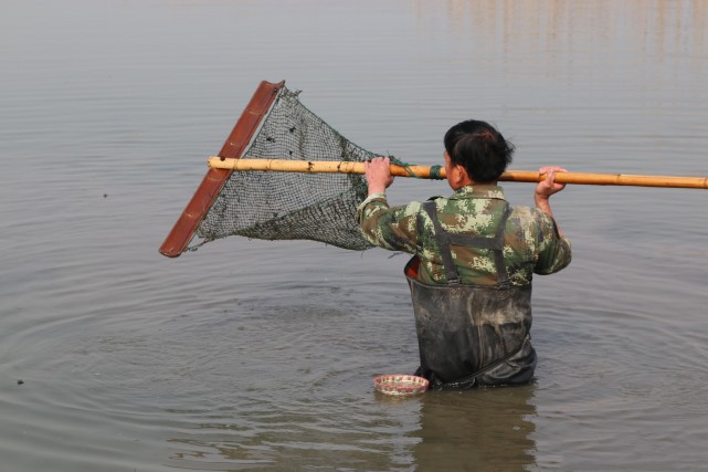 江浙沪必吃的六道家常菜,江浙人最爱小吃