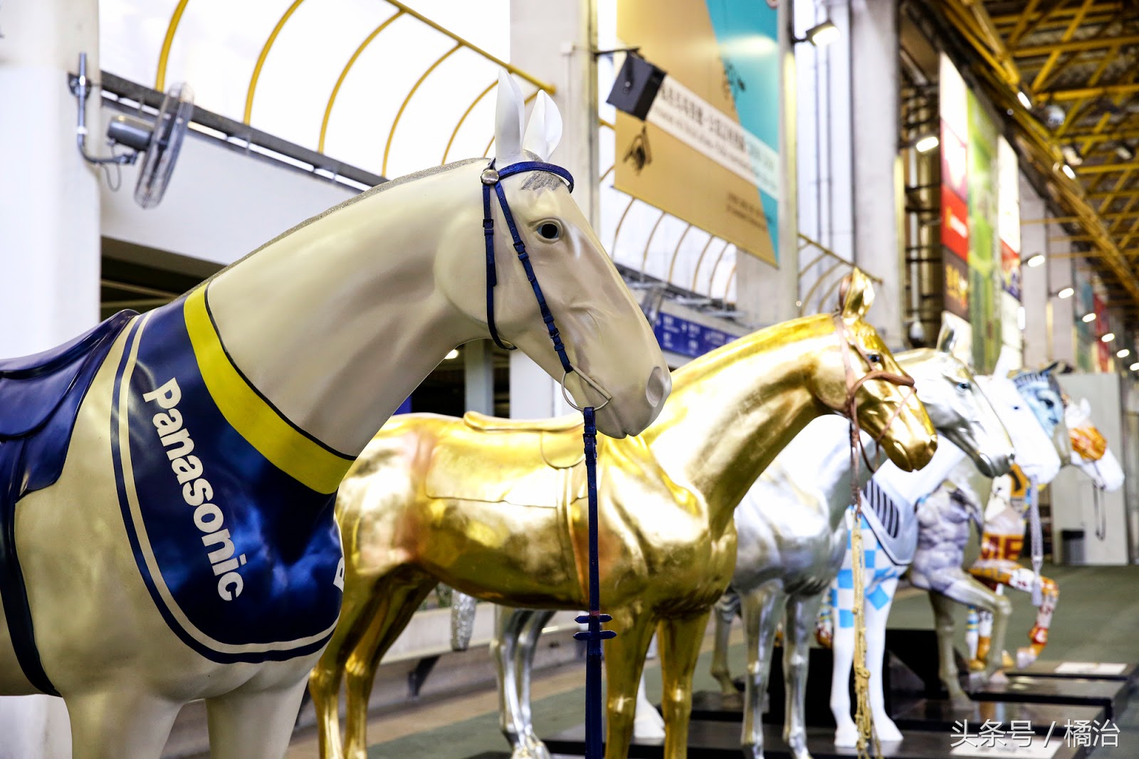 去香港赛马场，买张马票看马儿热血冲刺，超酷！（内含详细攻略）