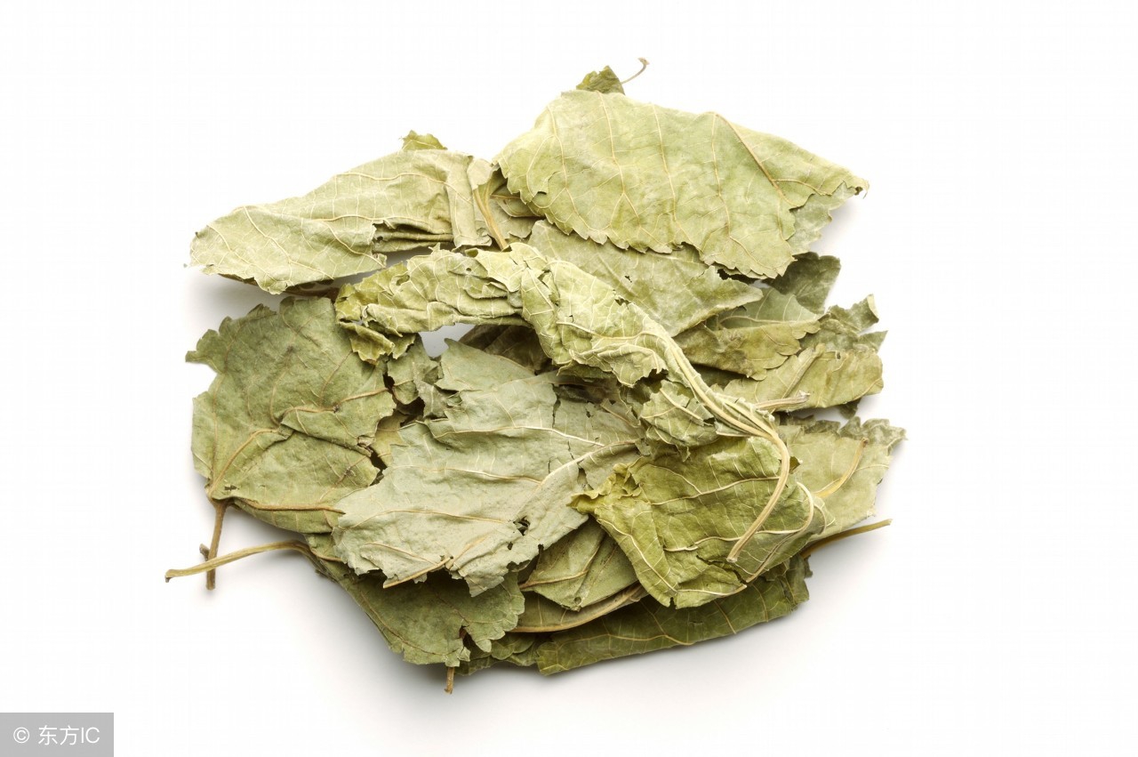 春季养肺润肺的茶,润肺去燥春季喝什么茶