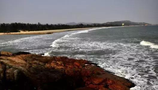 深圳仙湖植物园清明踏青赏花,深圳2022清明能去旅游吗