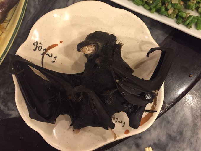 宝贝喜欢小金鱼,宝贝喜欢玩水