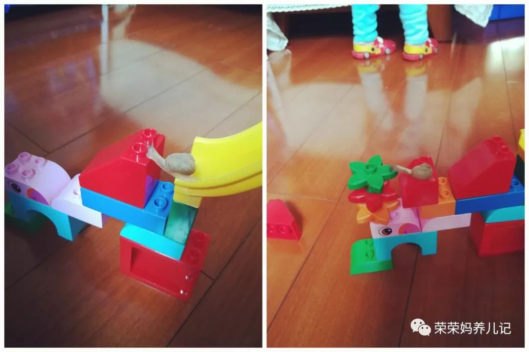 春暖花开别人出去春游,春暖花开溜娃的好地方