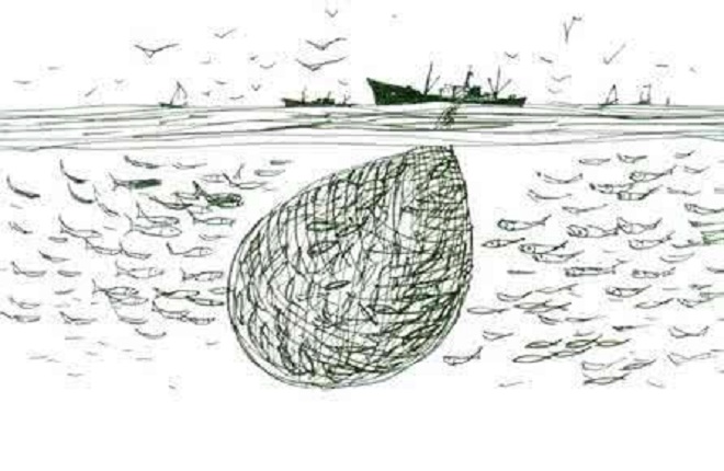 海洋渔场分布在大陆架,海洋渔场分布特点及原因