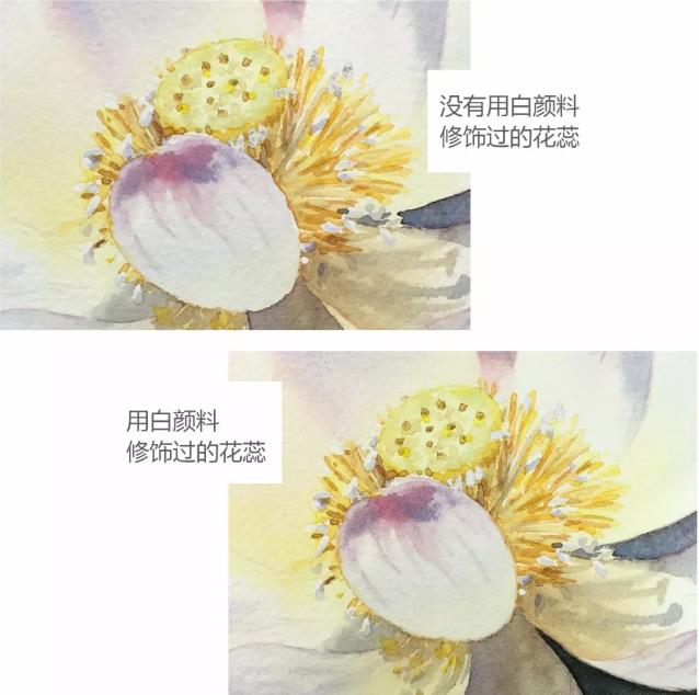 水彩夏天清新森系初学者荷花,水彩荷花画教程入门