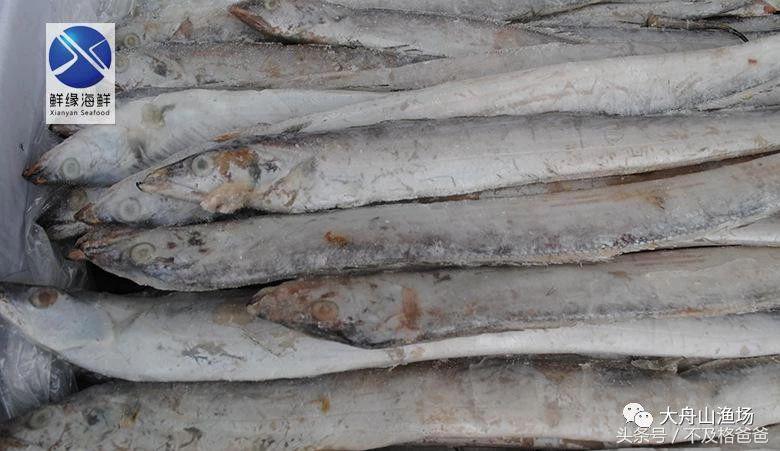 在舟山什么小海鱼适合烧汤,舟山宁波海鱼干货