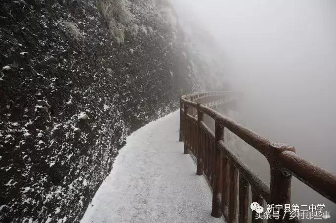 崀山鲸鱼闹海视频,不见鲸鱼的全部小说