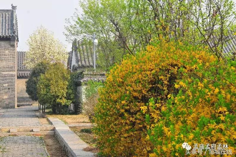 唯美中式风景,唯美花开美景图片