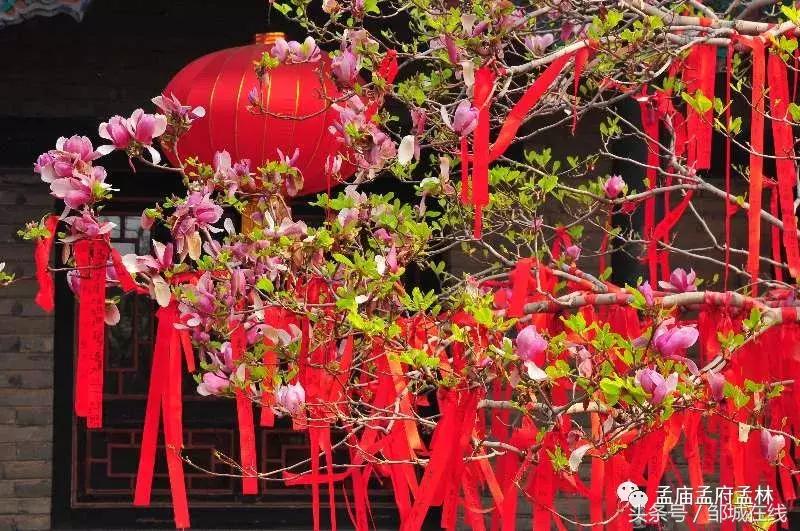 唯美中式风景,唯美花开美景图片