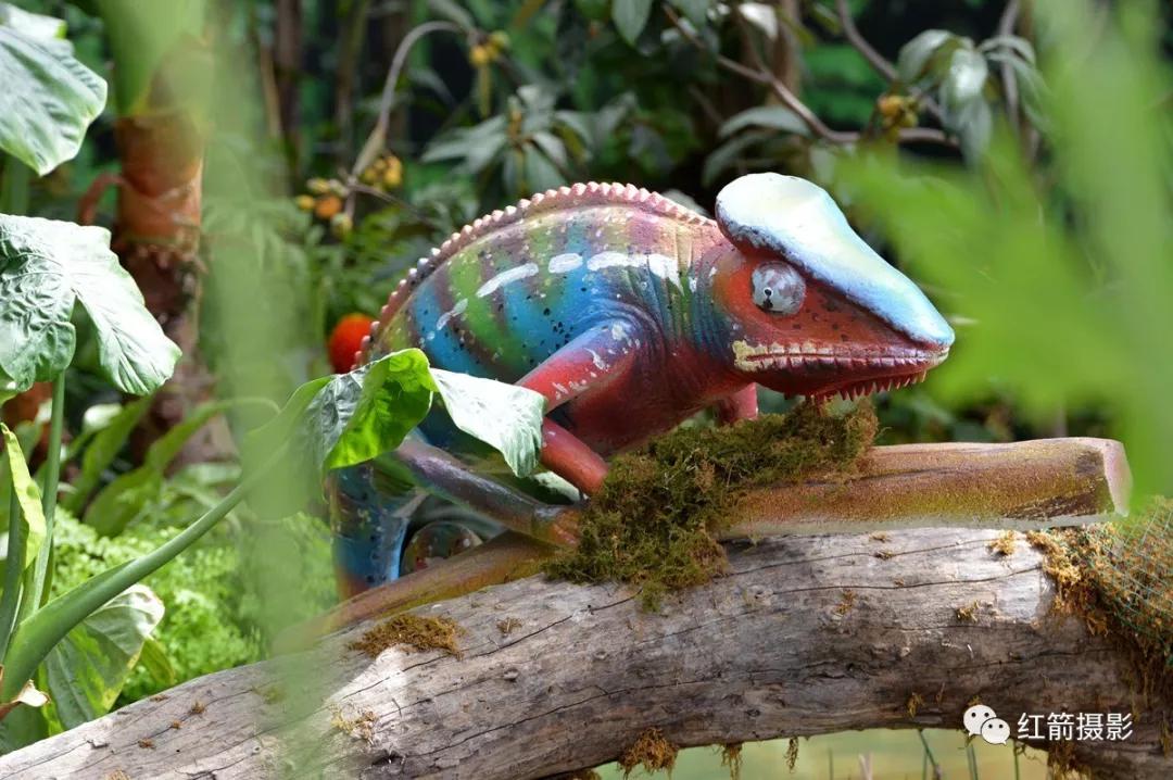 农业嘉年华北京,北京农业嘉年华延期