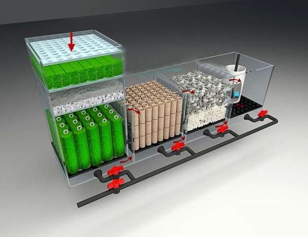 鱼缸底滤原理详细讲解,底滤鱼缸工作原理及配套配件