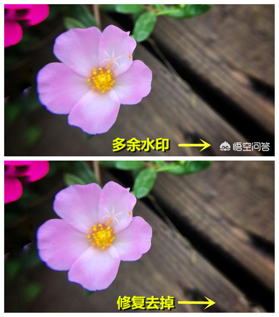 怎样修复照片遮住部分,修复照片的技巧