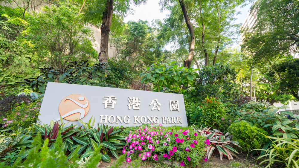 香港，住在港岛最高的行政客房是什么感觉，4000一晚也值得