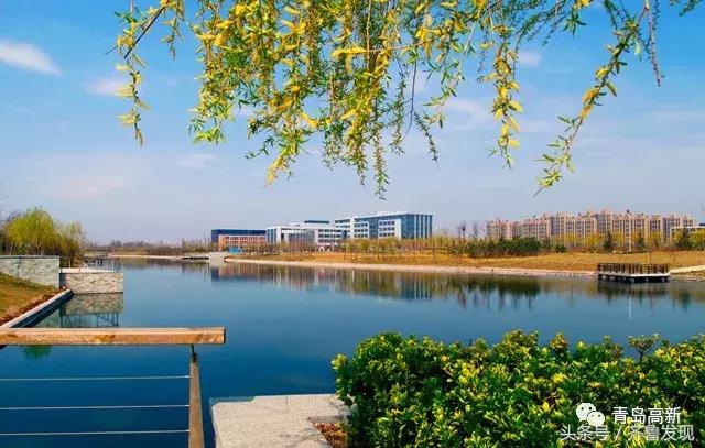 住在南海小岛上是一种怎样的体验,住在红岛的真实感受