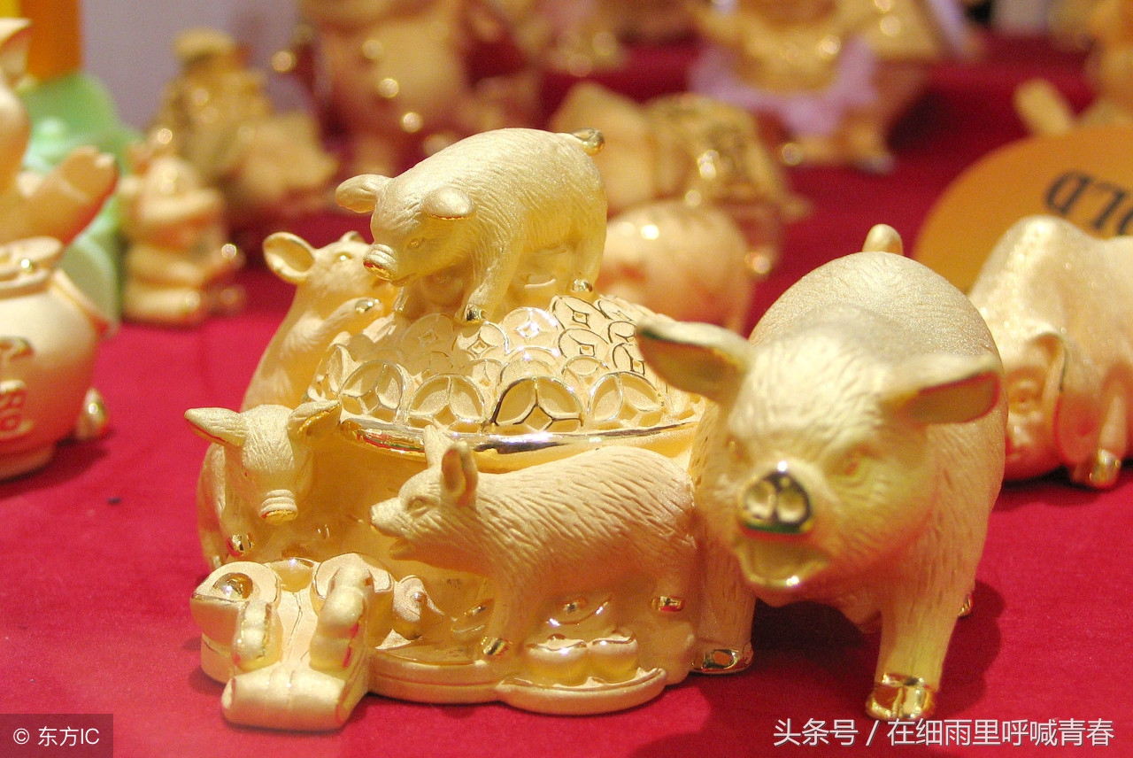 属猪猴鸡狗哪个属相合适,属狗属猴属鸡人合财吗