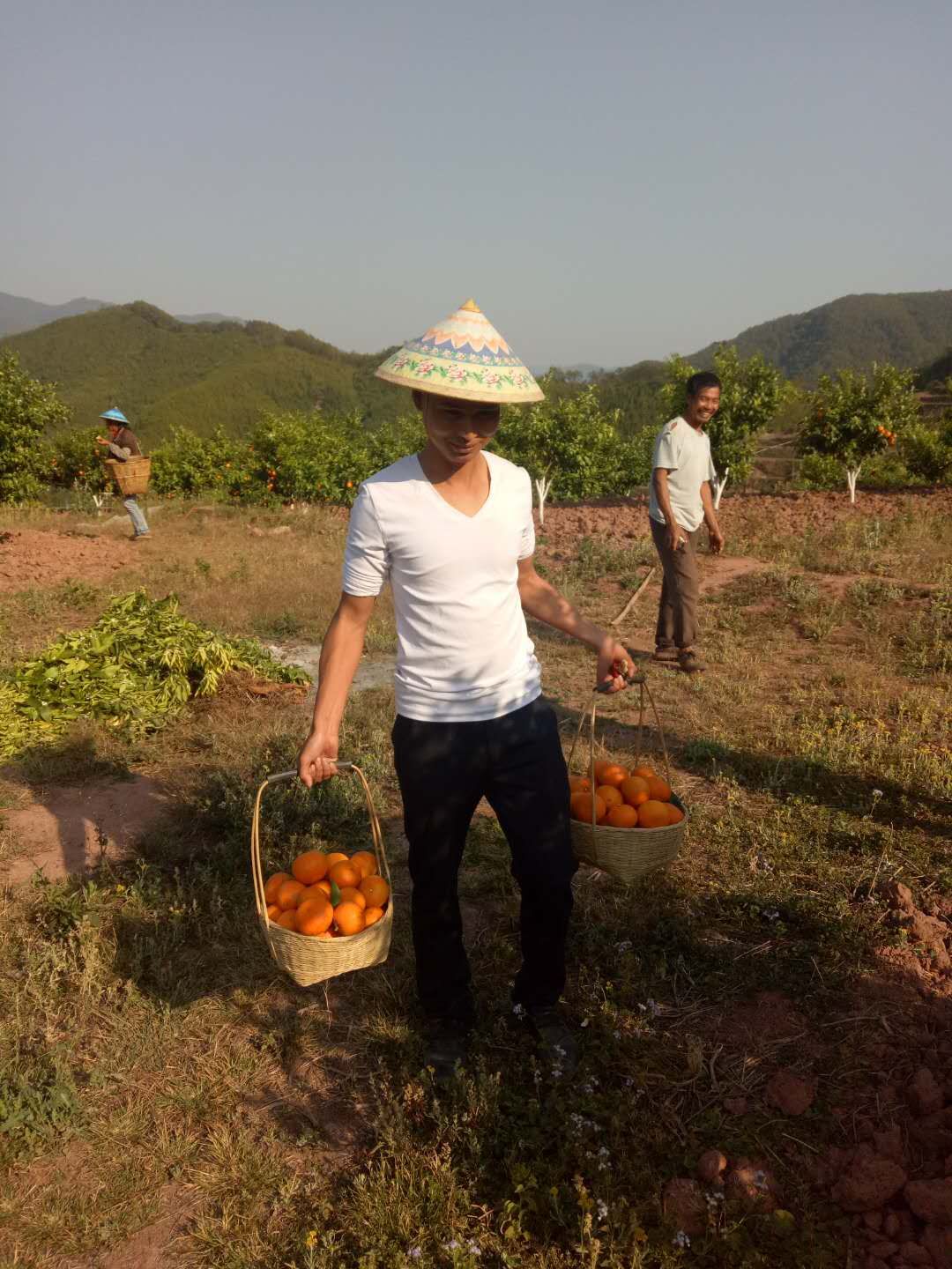 在海拔2000米卖家电?这位90后做到了!