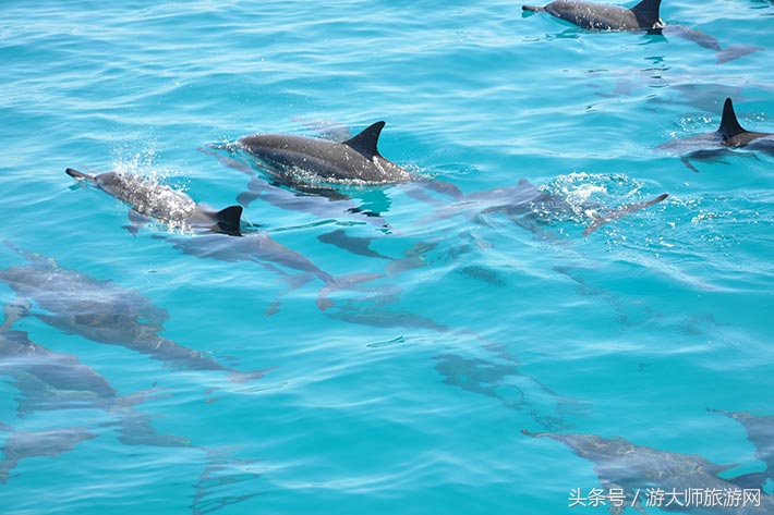 马尔代夫三天旅游攻略大全,亲子游去马尔代夫旅游花费