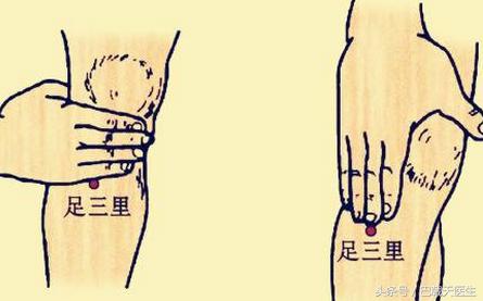 分享中医针灸基础知识，每日一穴：肚腹三里留