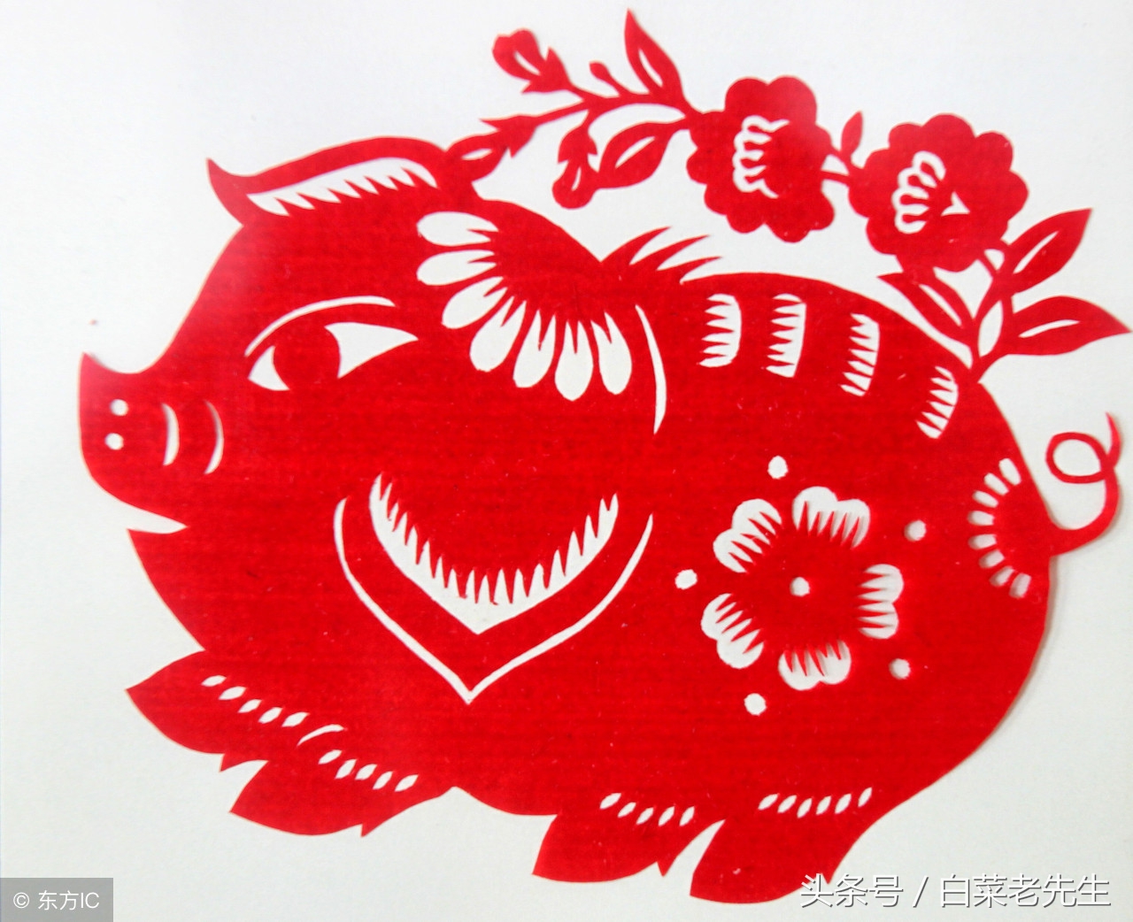 梦见十二生肖全部出现,梦中梦预示着什么生肖