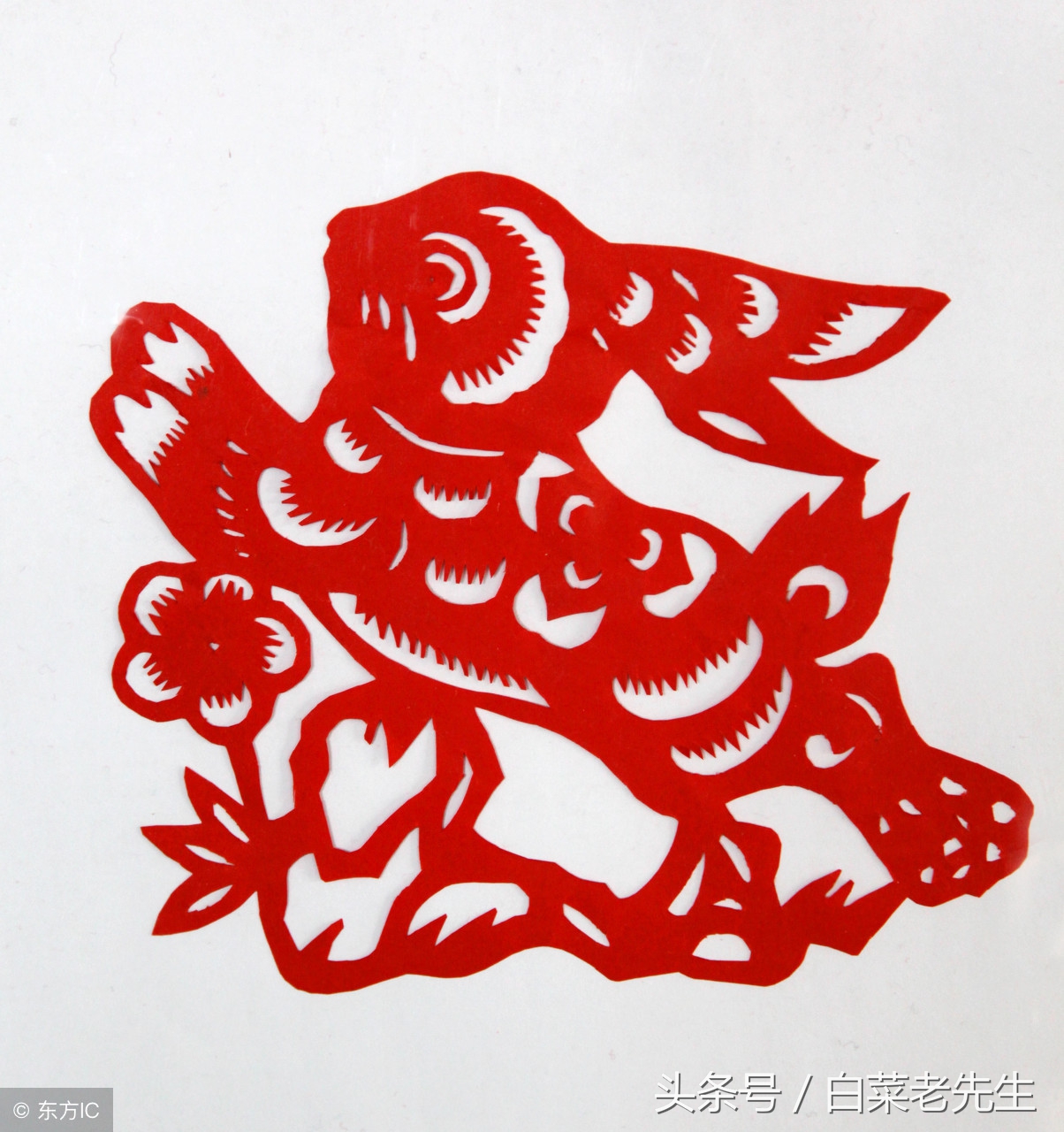 梦见十二生肖全部出现,梦中梦预示着什么生肖